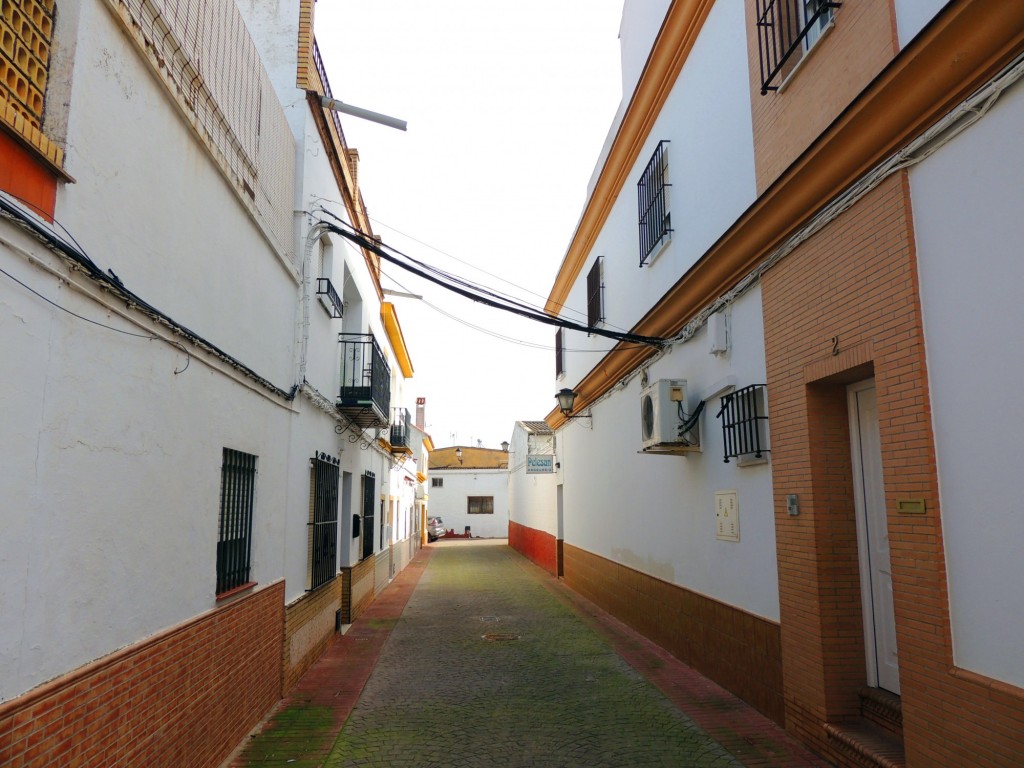 Foto: Calle Soleá de Triana - Villanueva del Ariscal (Sevilla), España