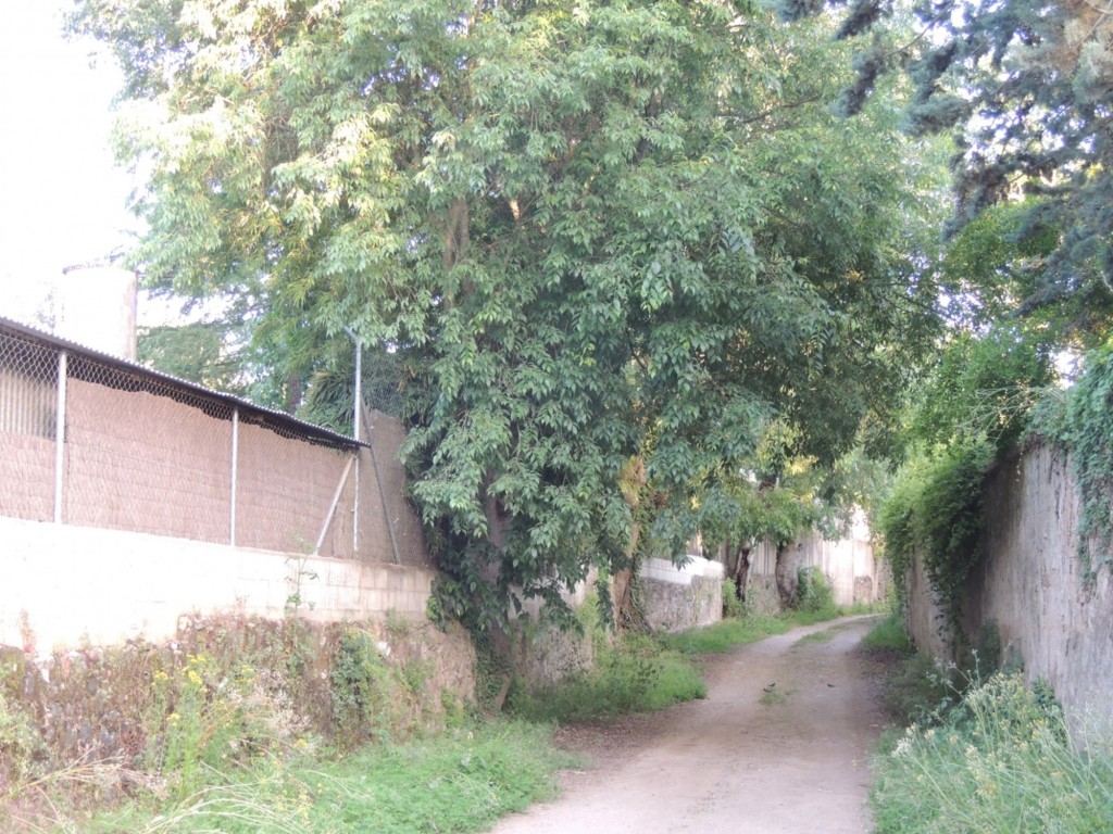 Foto: Calle Soldado Soliman del Pozo - Santa María de Trassierra (Córdoba), España
