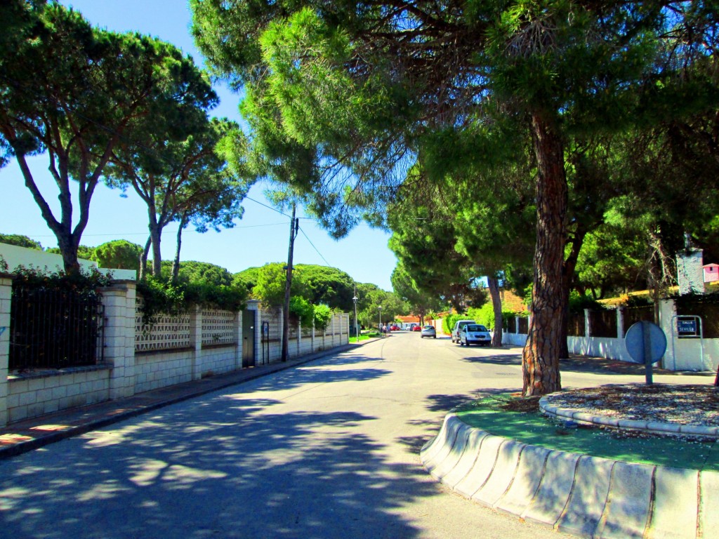 Foto: Calle Sevilla - Valdelagrana (Cádiz), España
