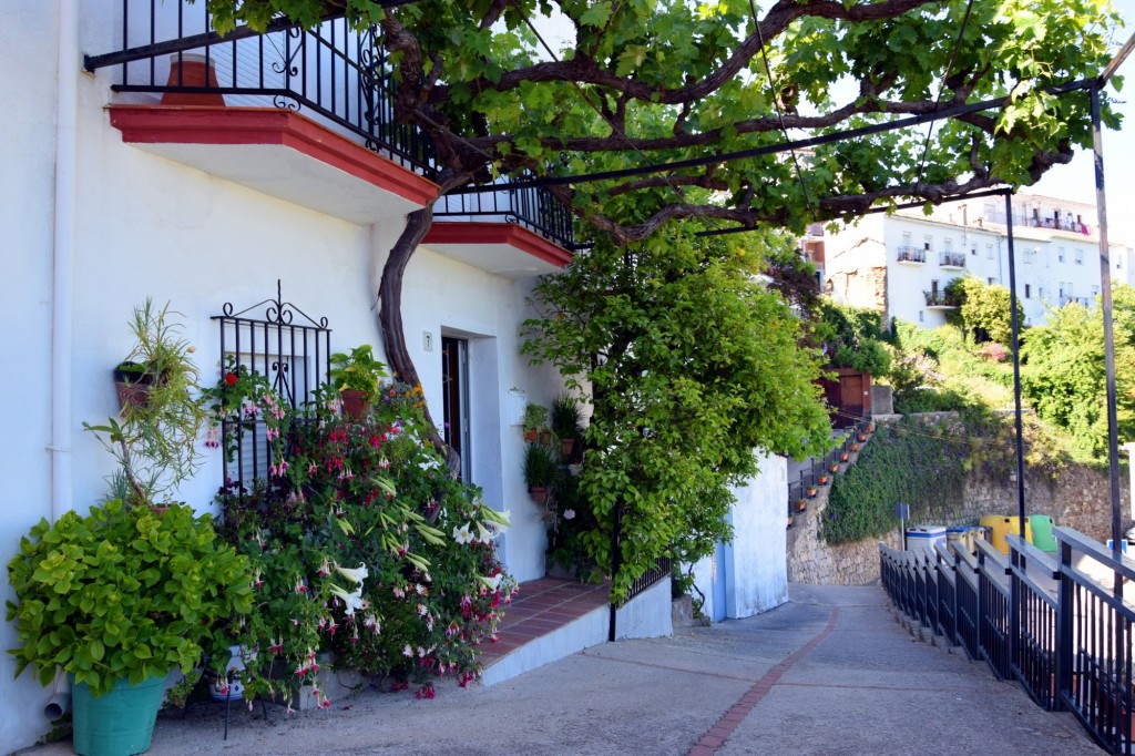 Foto: Calle Tramo de Calle Genalguacil - Algatocín (Málaga), España