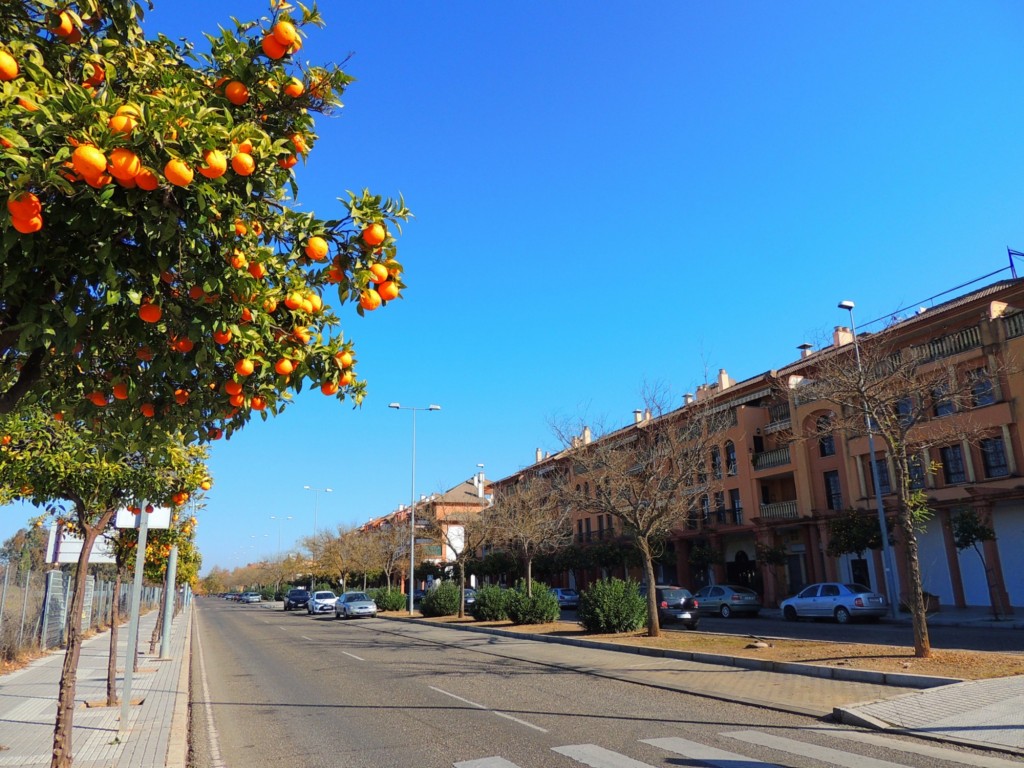 Foto: Calle Teruel - Córdoba (Andalucía), España