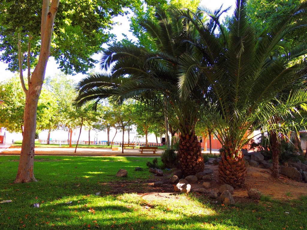 Foto: Plaza de la Amistad - Lebrija (Sevilla), España