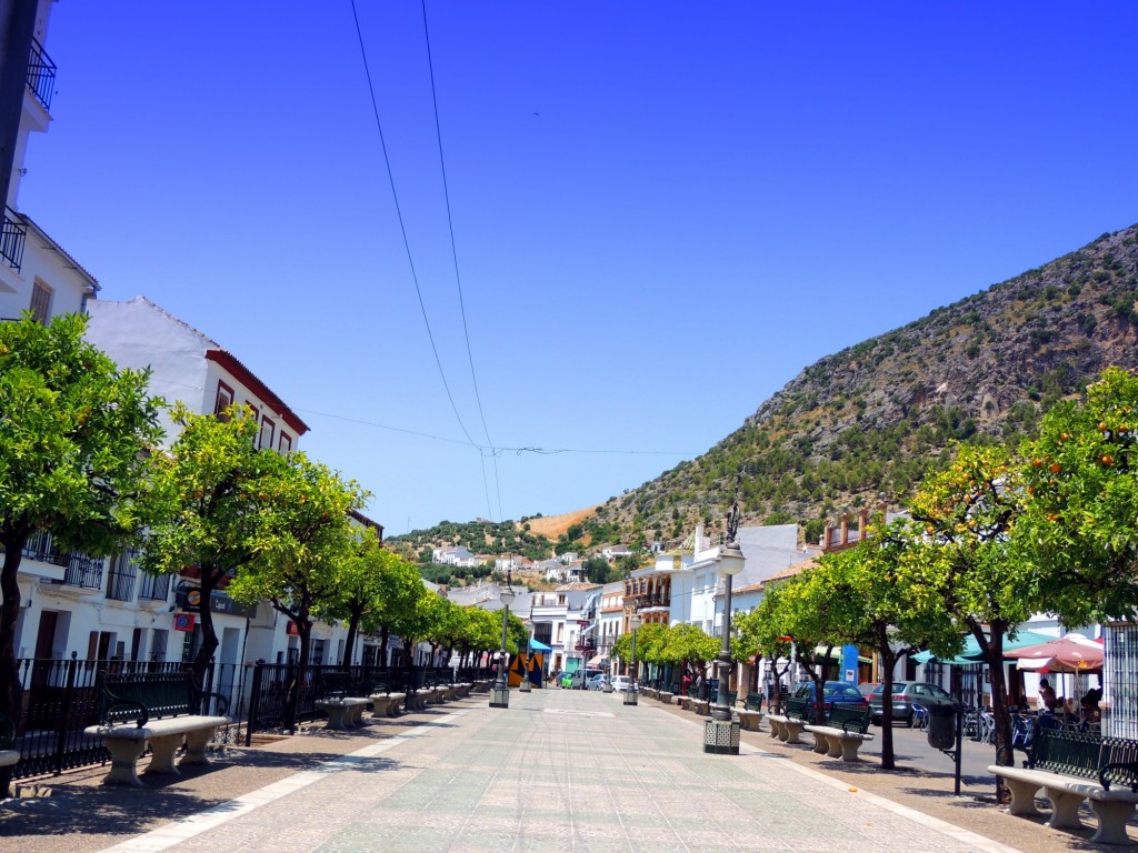Foto: Plaza de la Constitución - Algodonales (Cádiz), España