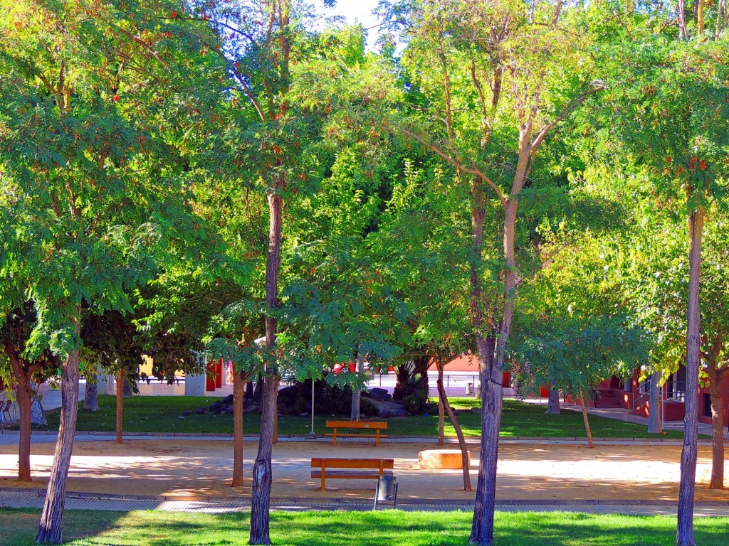 Foto: Plaza de la  Amistad - Lebrija (Sevilla), España
