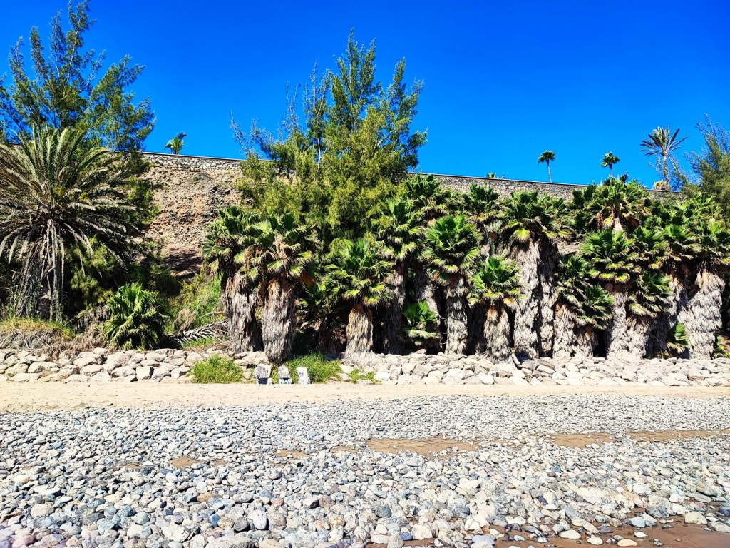 Foto: Playa del Inglés - Playa del Inglés (Las Palmas), España