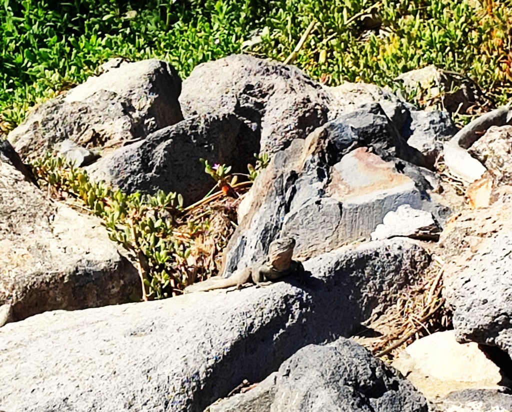 Foto: Playa del Inglés - Playa del Inglés (Las Palmas), España