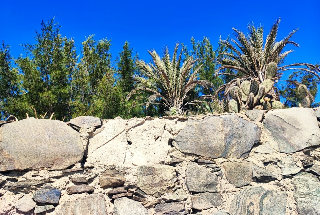Foto: Avenida Playa San Agustín - San Agustín (Las Palmas), España
