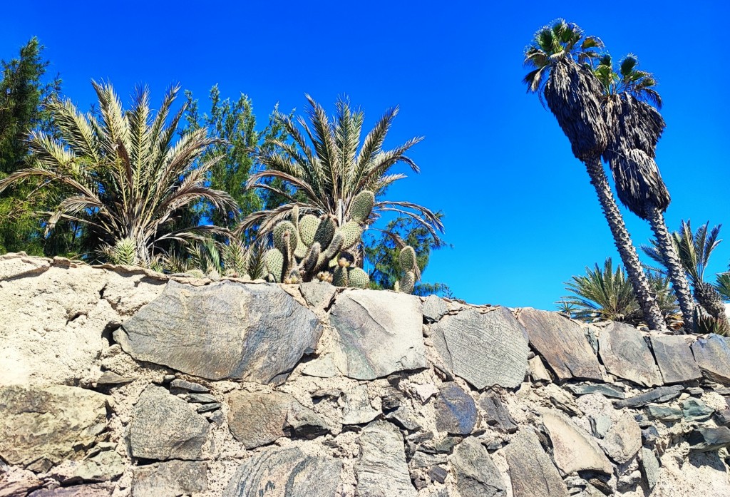 Foto: Avenida Playa San Agustín - San Agustín (Las Palmas), España