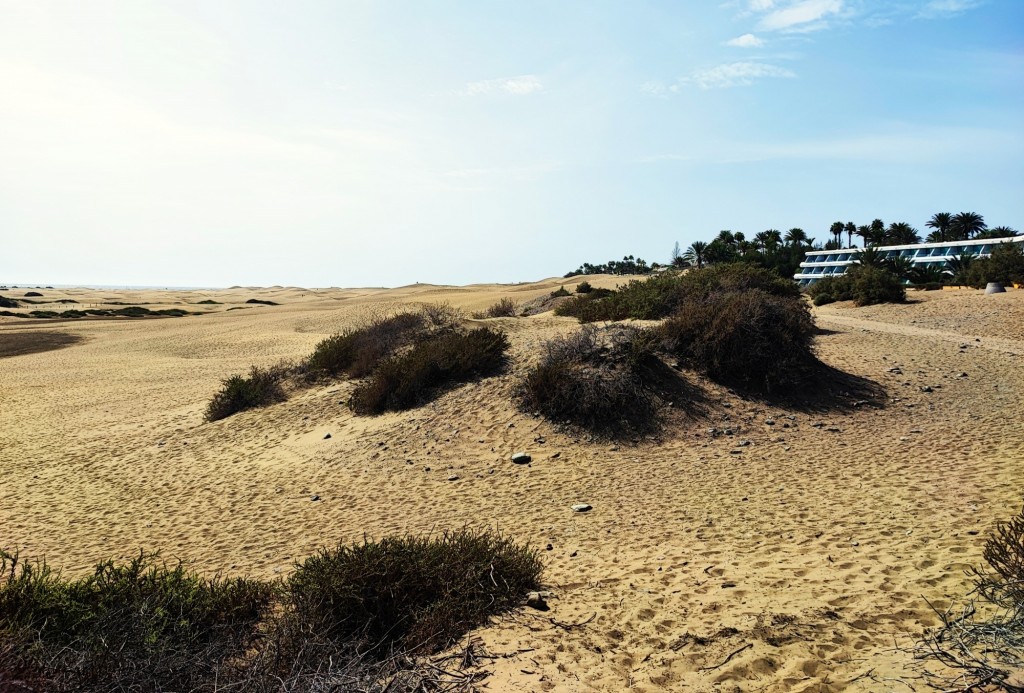Foto: Dunas de Maspalomas - Maspalomas (Las Palmas), España
