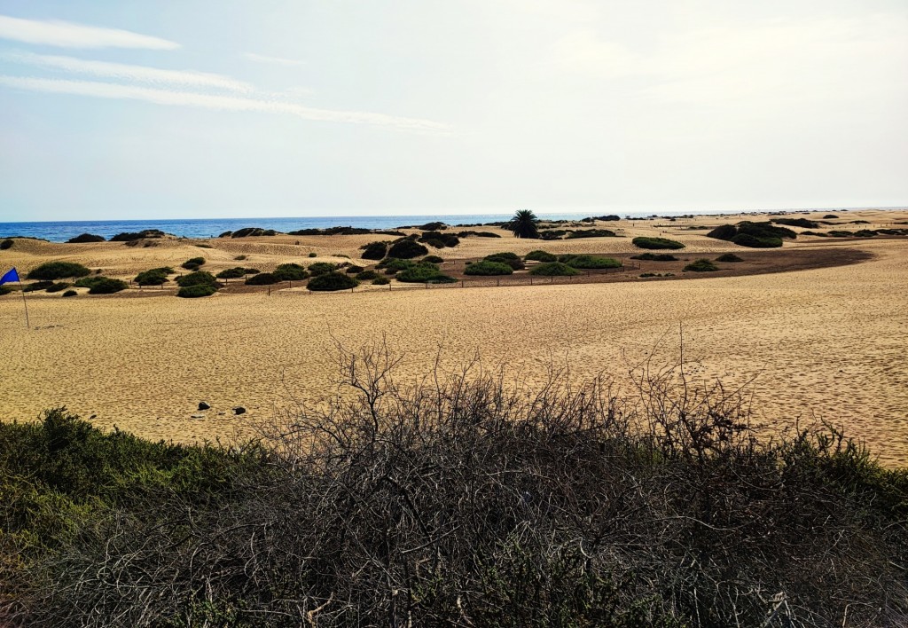 Foto: Dunas de Maspalomas - Maspalomas (Las Palmas), España