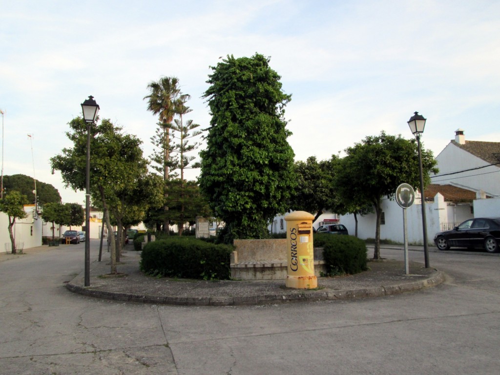 Foto: Plaza Alcalde Manuel Mateos Rico - San José de Malocinado (Cádiz), España