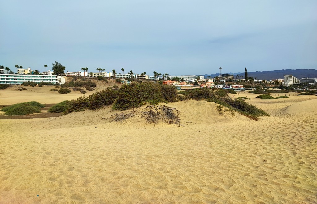 Foto: Dunas de Maspalomas - Maspalomas (Las Palmas), España