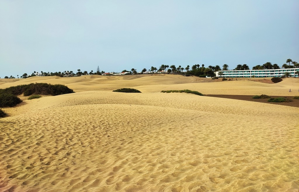 Foto: Dunas de Maspalomas - Maspalomas (Las Palmas), España