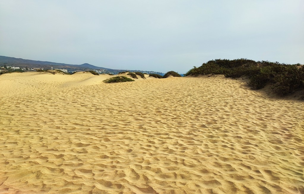 Foto: Dunas de Maspalomas - Maspalomas (Las Palmas), España