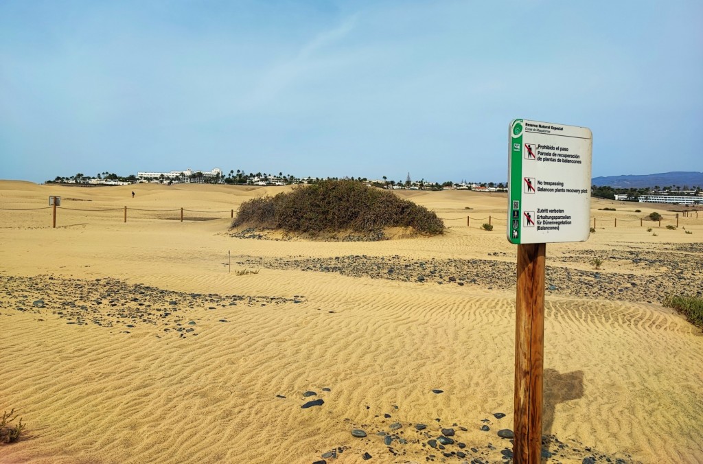 Foto: Dunas de Maspalomas - Maspalomas (Las Palmas), España