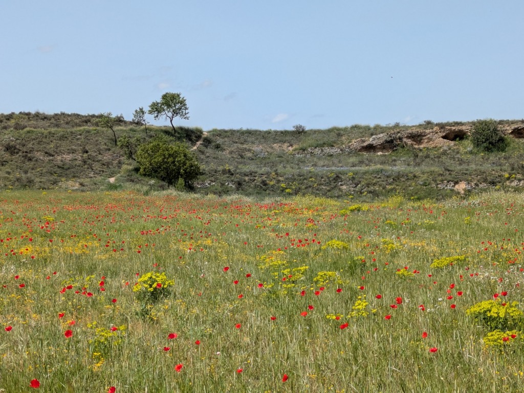 Foto: Barranco de Valondillo - Calatayud (Zaragoza), España