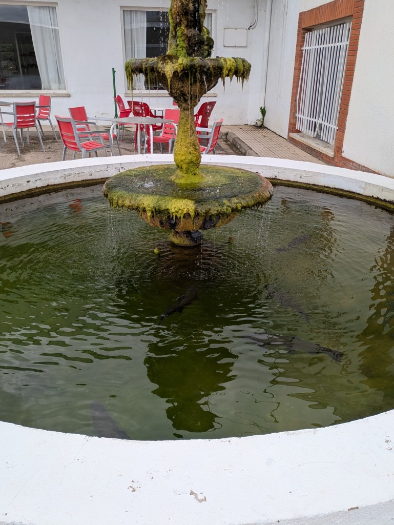 Foto: Nacimiento del Jalón - Esteras de Medinaceli (Soria), España