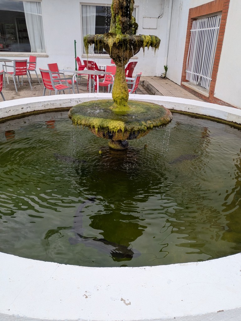 Foto: Nacimiento del Jalón - Esteras de Medinaceli (Soria), España