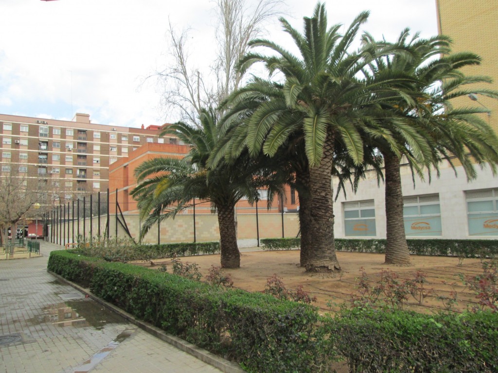 Foto: Plaza Baden Powell - Valencia (València), España