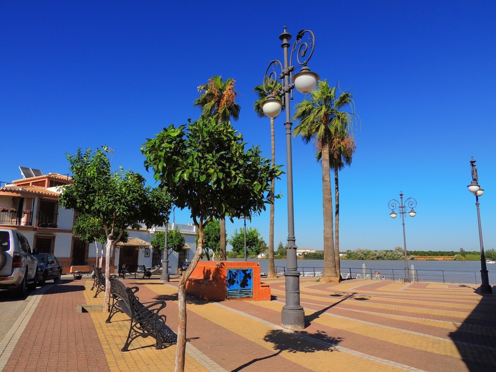 Foto: Plaza de  Blas Infante - La Puebla del Río (Sevilla), España