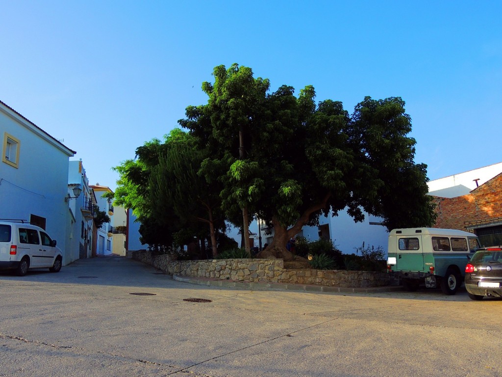 Foto: Plaza de  Granada - Yunquera (Málaga), España