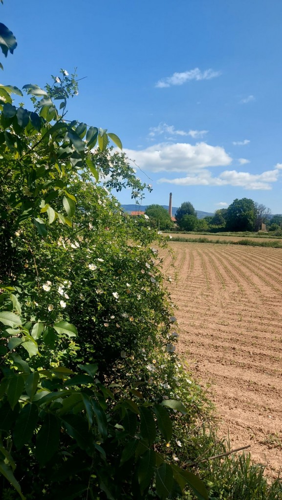 Foto: Camino de las cruces - Calatayud (Zaragoza), España