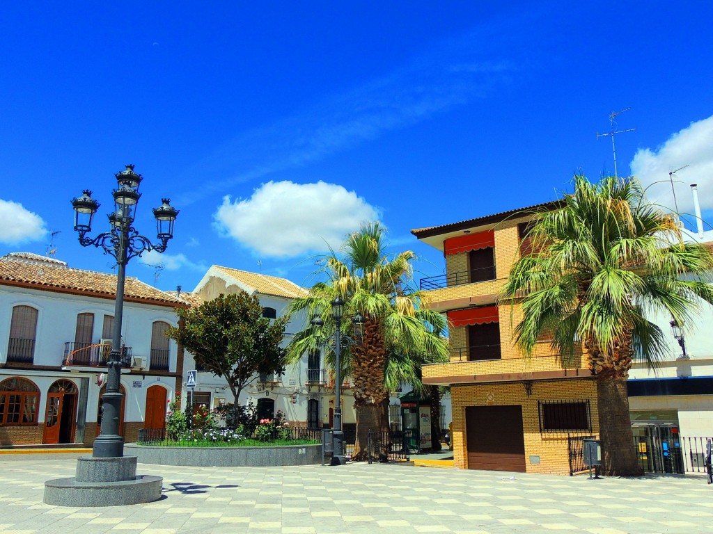 Foto: Plaza del Ayuntamiento - El Saucejo (Sevilla), España