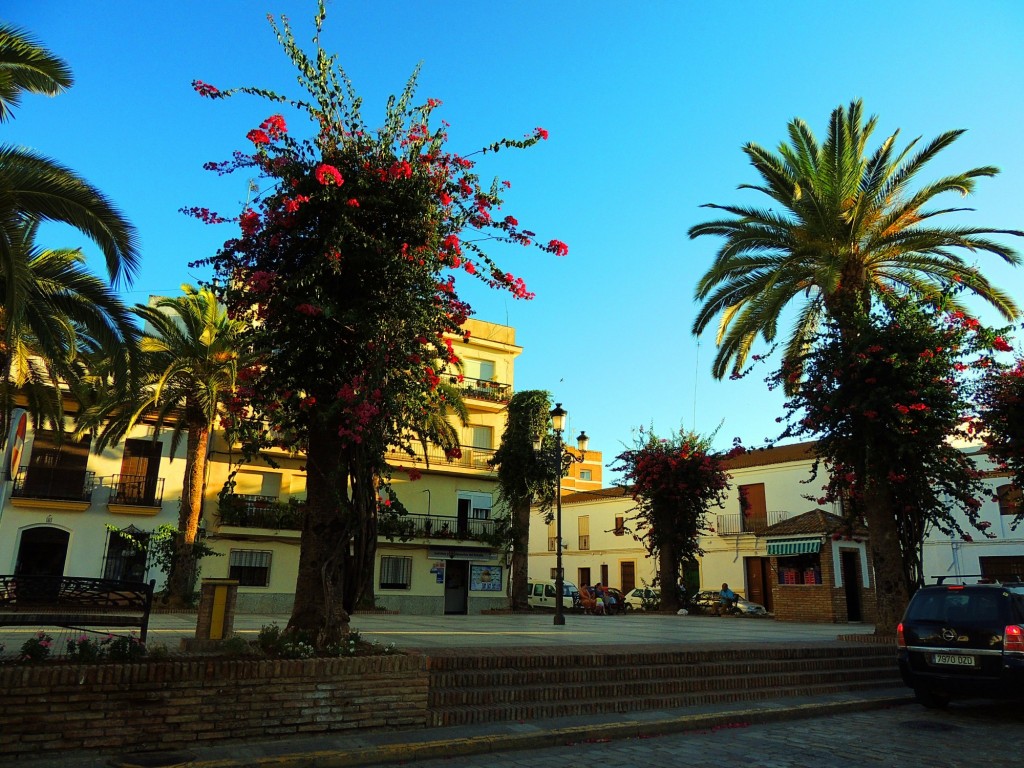 Foto: Plaza del Carmen - Trigueros (Huelva), España