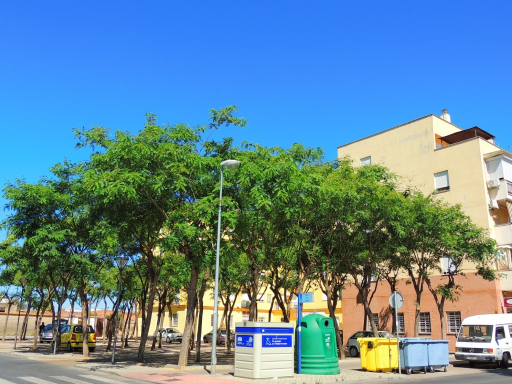Foto: Plaza del Nogal - Lepe (Huelva), España