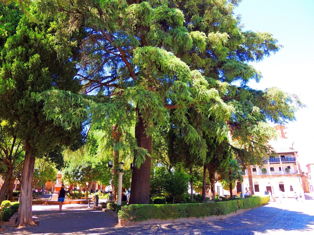 Foto: Plaza Duquesa de Parcent - Ronda (Málaga), España