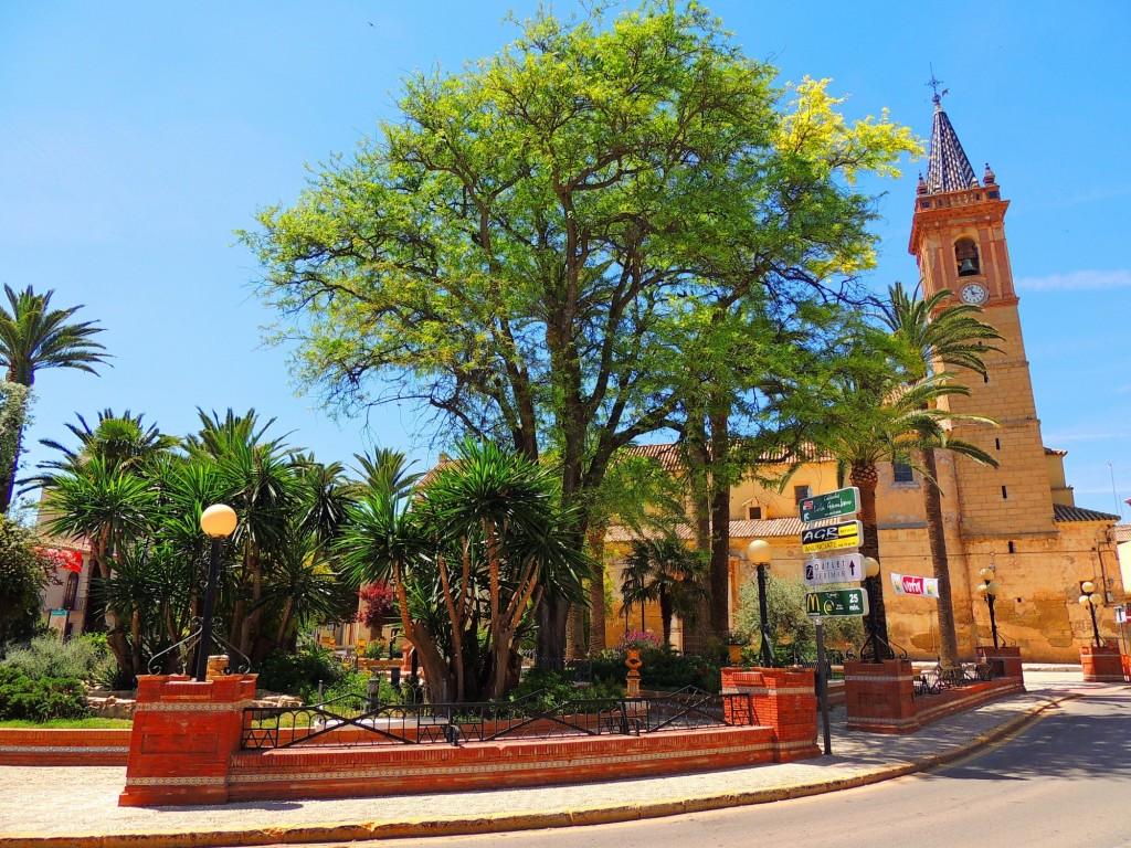 Foto: Plaza España - Campillo (Málaga), España