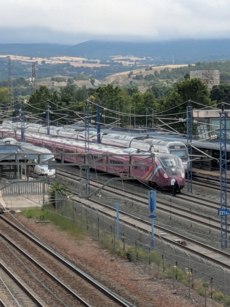 Foto: Trenes de alta velocidad detenidos el 11 de julio de 2025 - Calatayud (Zaragoza), España