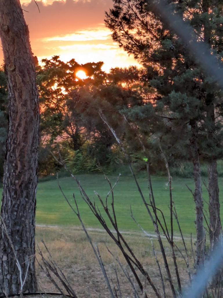 Foto: Crepúsculo en el campo de Golf - Calatayud (Zaragoza), España