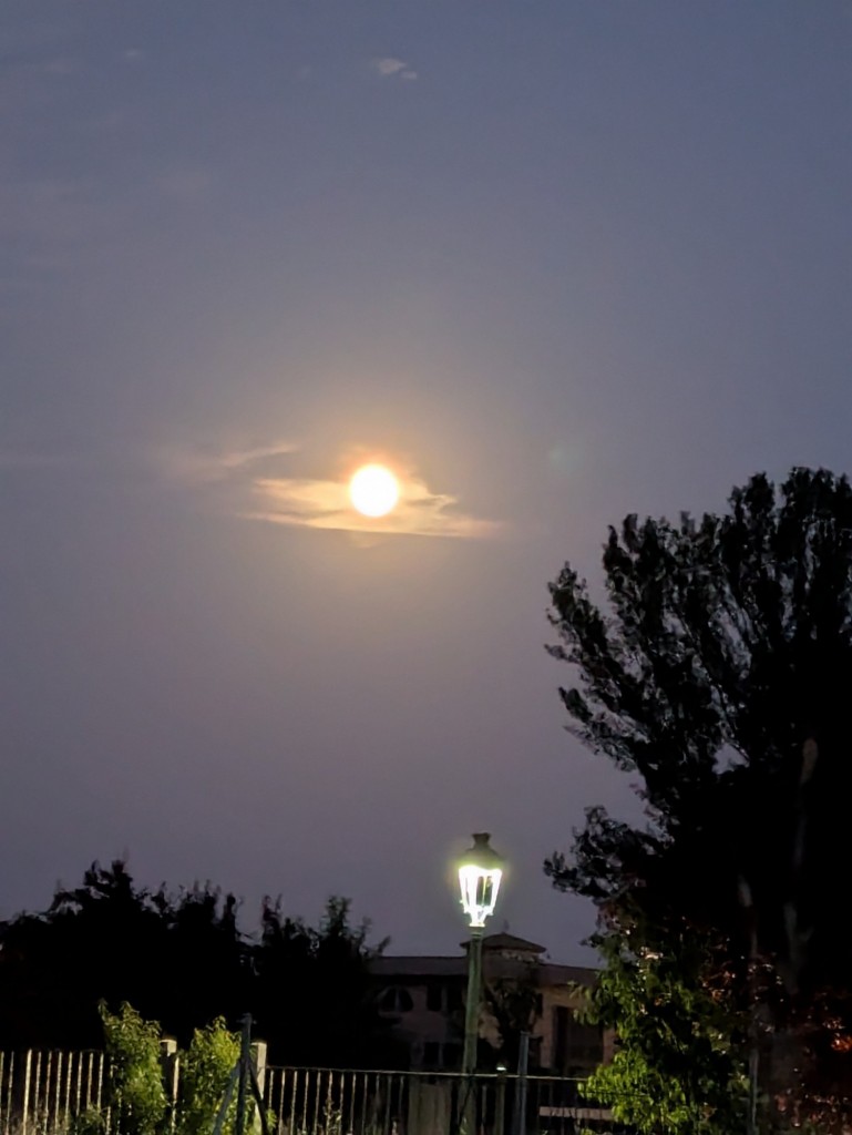 Foto: Campo de Golf - Calatayud (Zaragoza), España