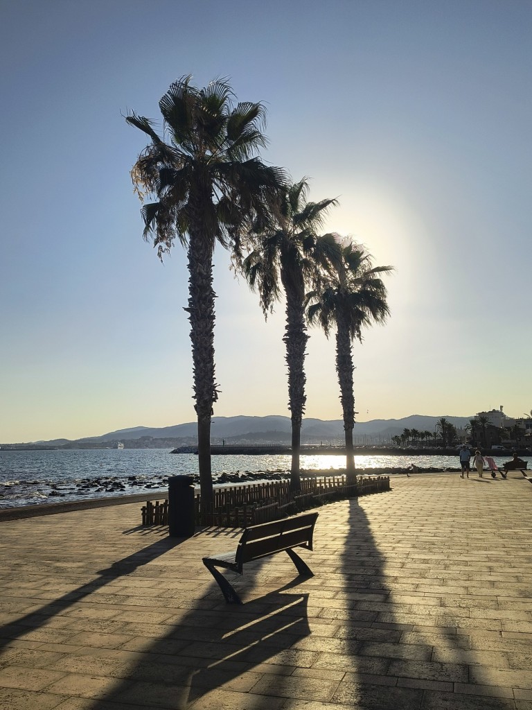 Foto: Atardecer - El Molinar (Illes Balears), España