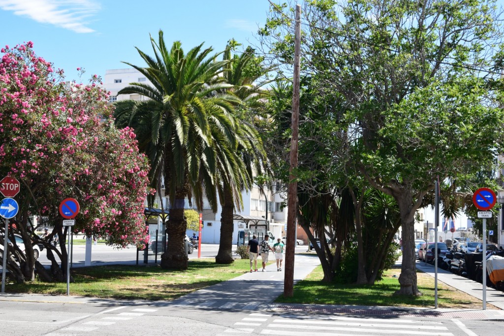 Foto: Hacia el pesquero - Cádiz (Andalucía), España