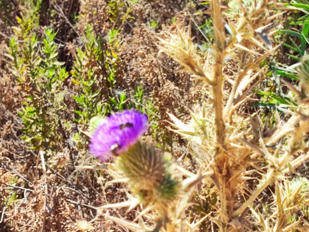 Foto: Riviera Albanesa - Sarandë (Vlorë), Albania