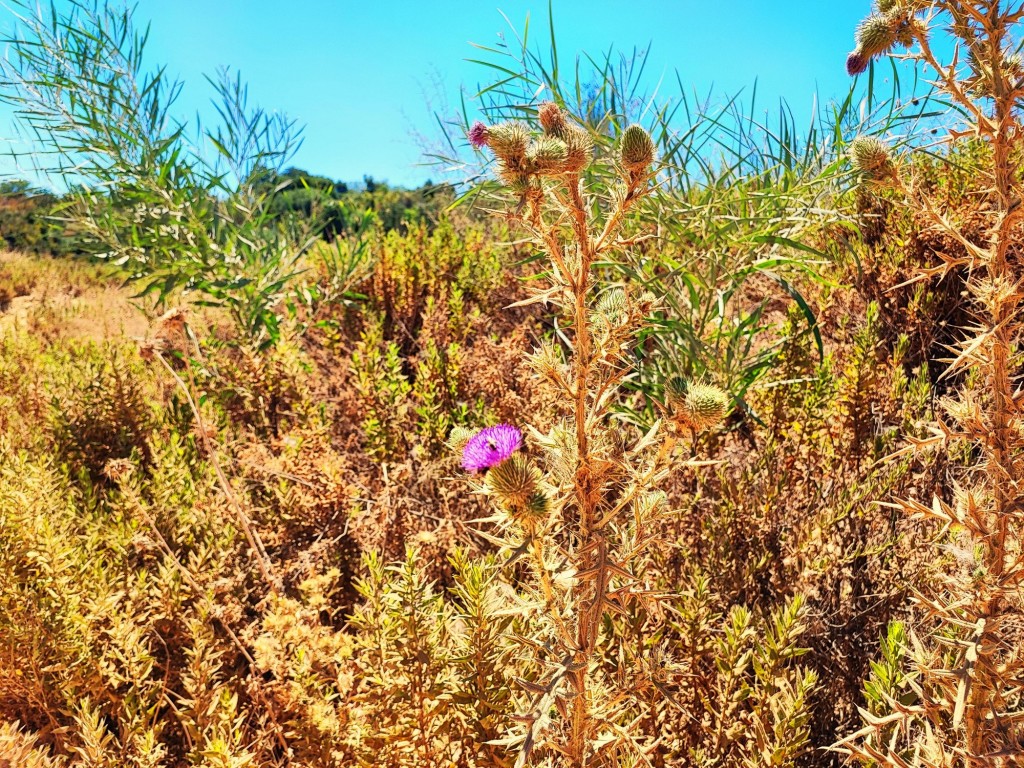Foto: Riviera Albanesa - Sarandë (Vlorë), Albania