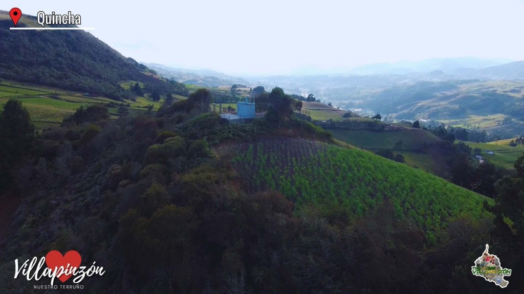 Foto: Quincha - Villapinzon (Cundinamarca), Colombia