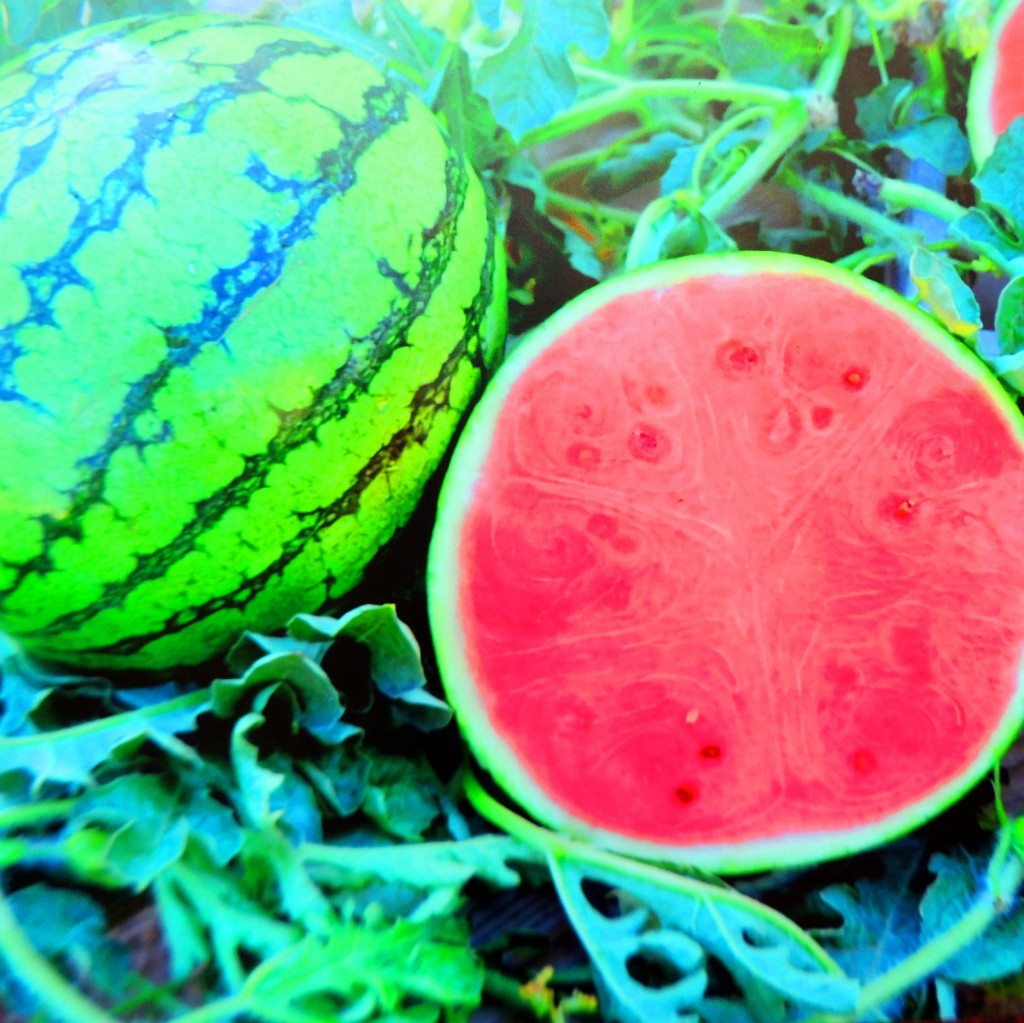 Foto: Sandía,  foto en el Museo - Managua, Nicaragua