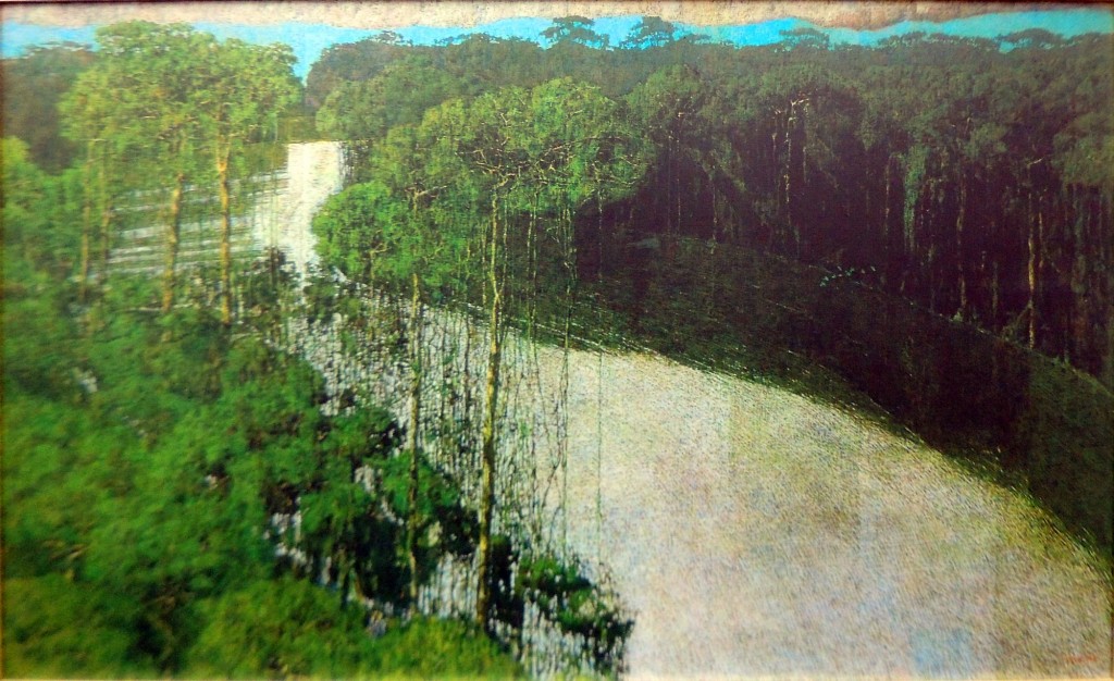 Foto: Selva Río San Juán de Armando Morales 2002 - Managua, Nicaragua