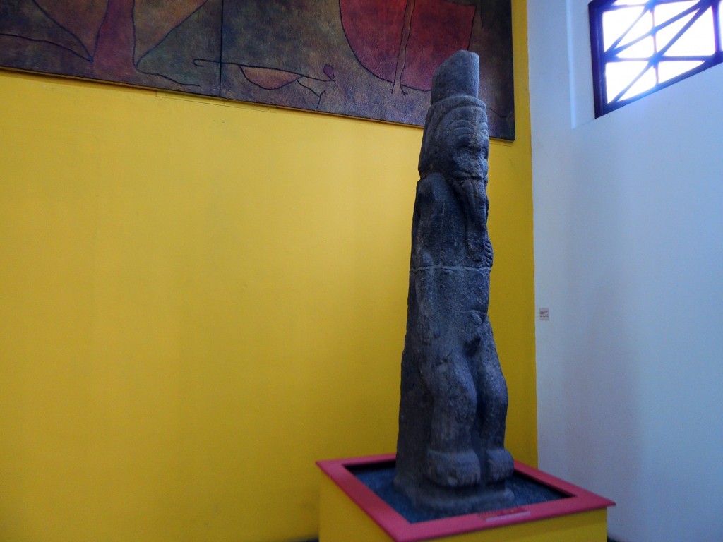 Foto: Ehecatl, Pelicano Zapaterade - Managua, Nicaragua