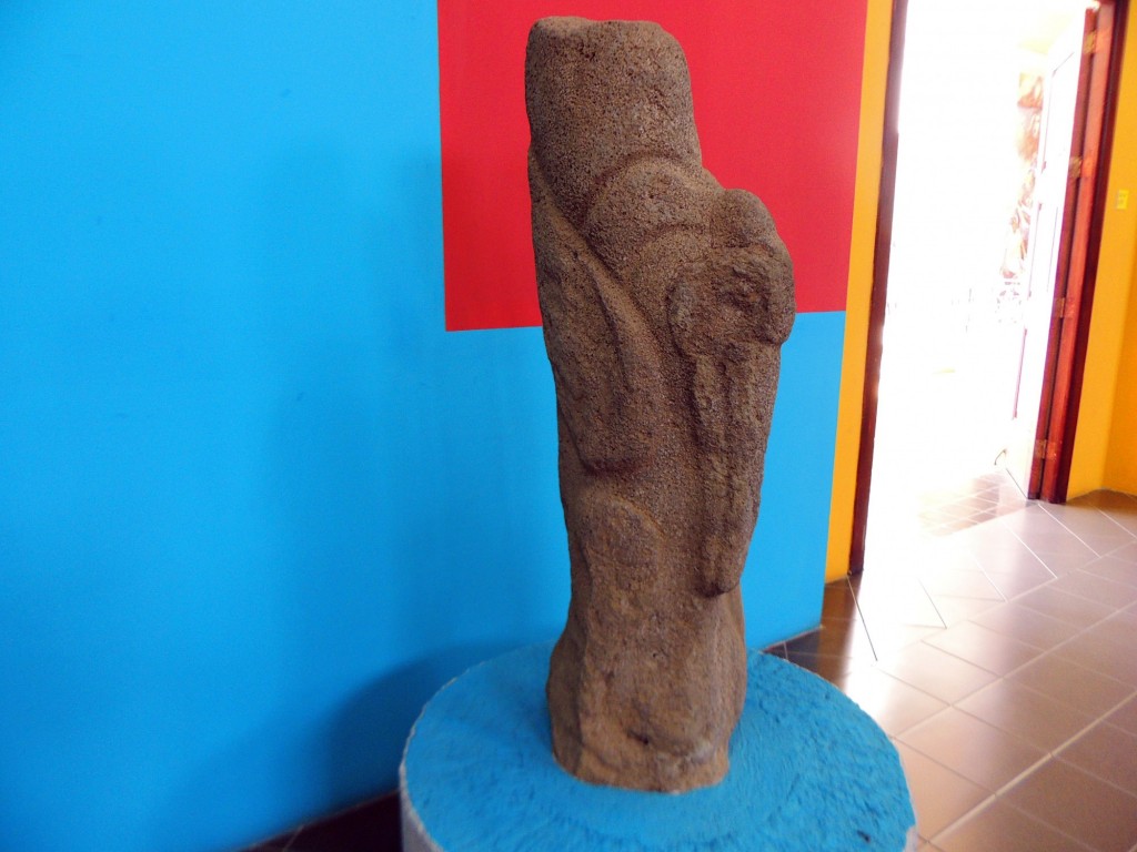 Foto: Ehecatl, Pelicano de Chontales - Managua, Nicaragua