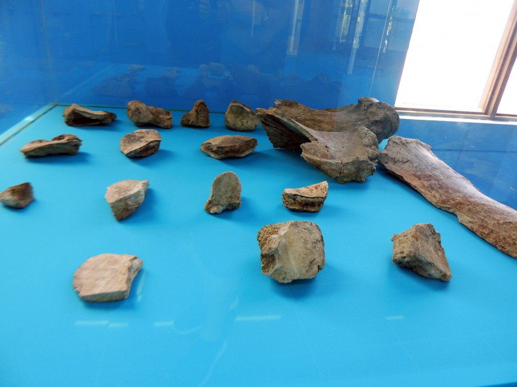 Foto de Managua, Nicaragua