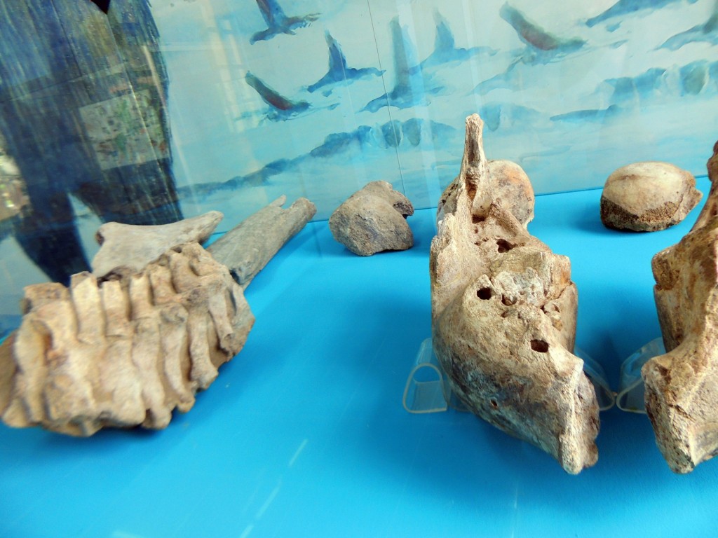 Foto: Mamur Imperial - Managua, Nicaragua