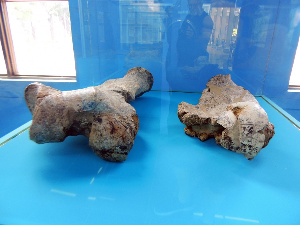 Foto de Managua, Nicaragua