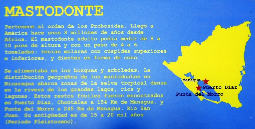 Foto: Leyenda Mastodonte - Managua, Nicaragua