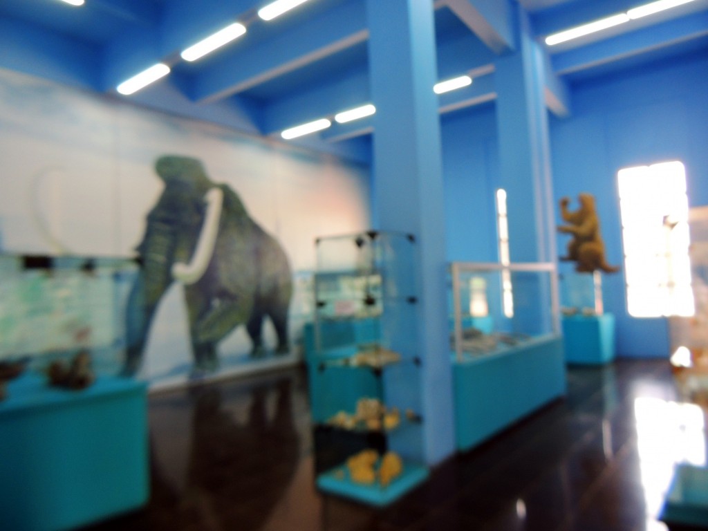 Foto: Sala Vida en la Prehistórica - Managua, Nicaragua