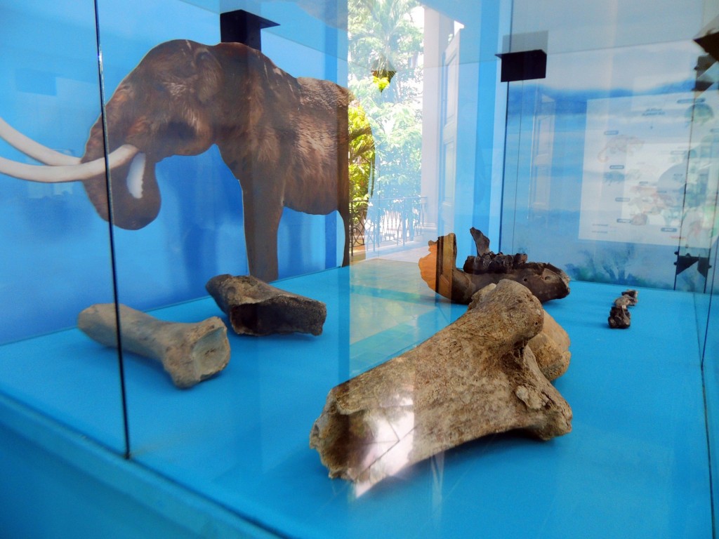 Foto: Mastodonte - Managua, Nicaragua