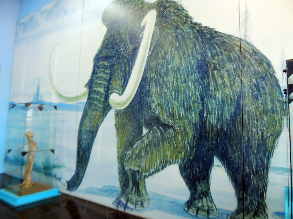 Foto: Mamut - Managua, Nicaragua